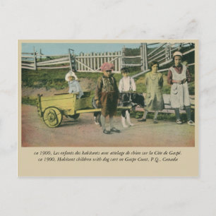 Cartão Postal Crianças com carrinho de cão, Gaspe Coast Quebec C
