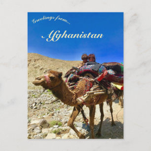 Cartão Postal Crianças em um Camelo em Herat Afeganistão