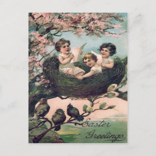 Cartão Postal Crianças Fofas Ninho de Pássaro Árvore