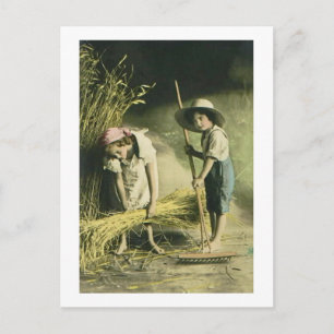 Cartão Postal Crianças Rastrando Feno 1903 Colorido à Mão Vintag