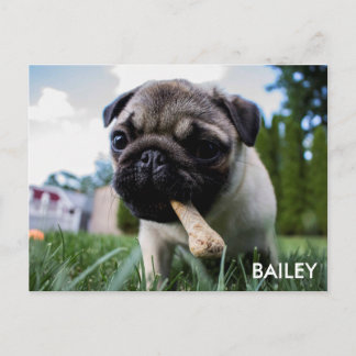 Cartão Postal Criar sua própria foto feita sob encomenda