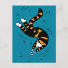 Cartão Postal Criatura De Gato Engraçada Mãos De Esqueleto Nadan