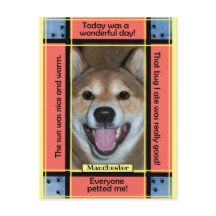 Crie Seu Próprio Texto Foto De Gato De Pet Dog Eng