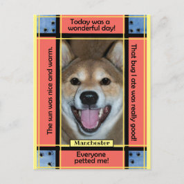 Cartão Postal Crie Seu Próprio Texto Foto De Gato De Pet Dog Eng