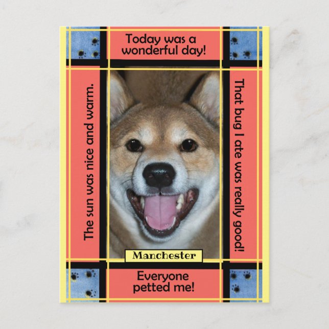 Cartão Postal Crie Sua Própria Foto de Cachorro Gato Divertido T (Frente)