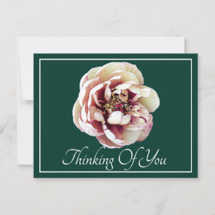 Cartão Postal Crimson Branco, Peony, Pensando Em Você