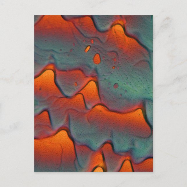 Cartão Postal Cristais de acetato de zinco ao microscópio (Frente)