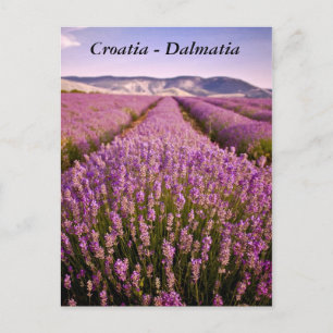 Cartão Postal Croácia - Dalmácia