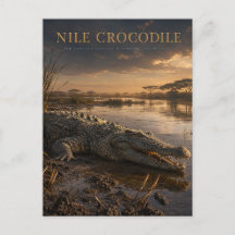 Crocodilo do Nilo Rio Africano ANIMAIS