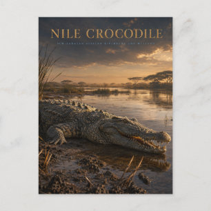 Cartão Postal Crocodilo do Nilo Rio Africano ANIMAIS