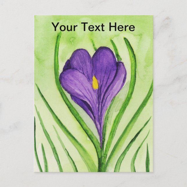 Cartão Postal Crocus (Frente)
