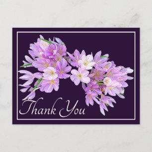 Cartão Postal Crocus Floral Moderno Rosa Roxo Bonito Obrigada