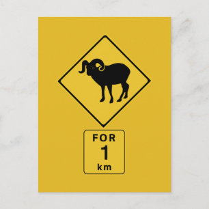 Cartão Postal Crossing Mountain Goats (2), Traffic Sign, Canadá