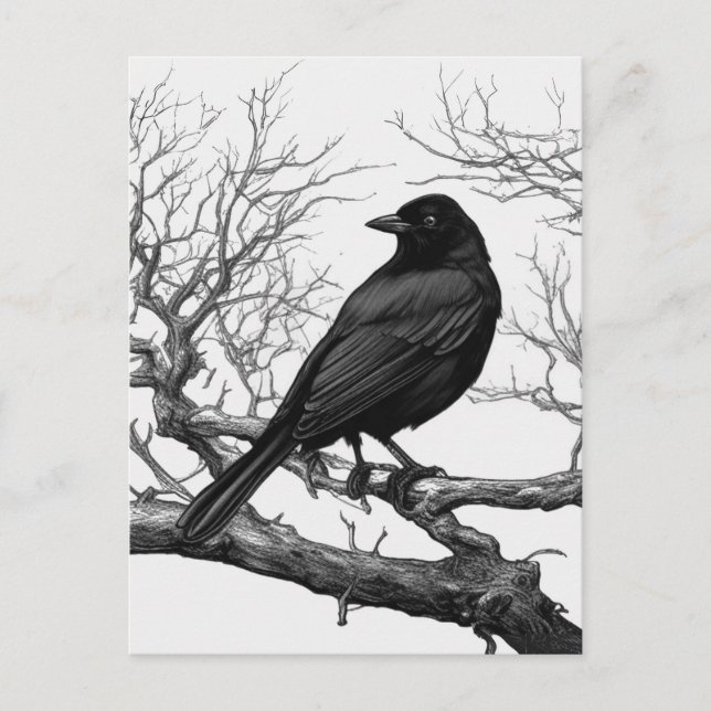 Cartão Postal Crow Perched on Bare Winter Branches (Frente)