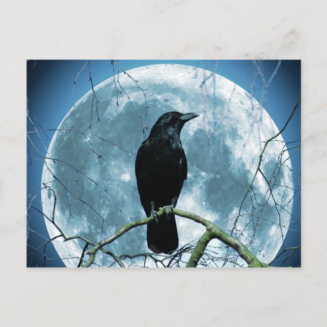 Cartão Postal Crow Raven Moon Night Gótica Fantasia Incrível (Frente)