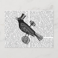 Crow Steampunk 2