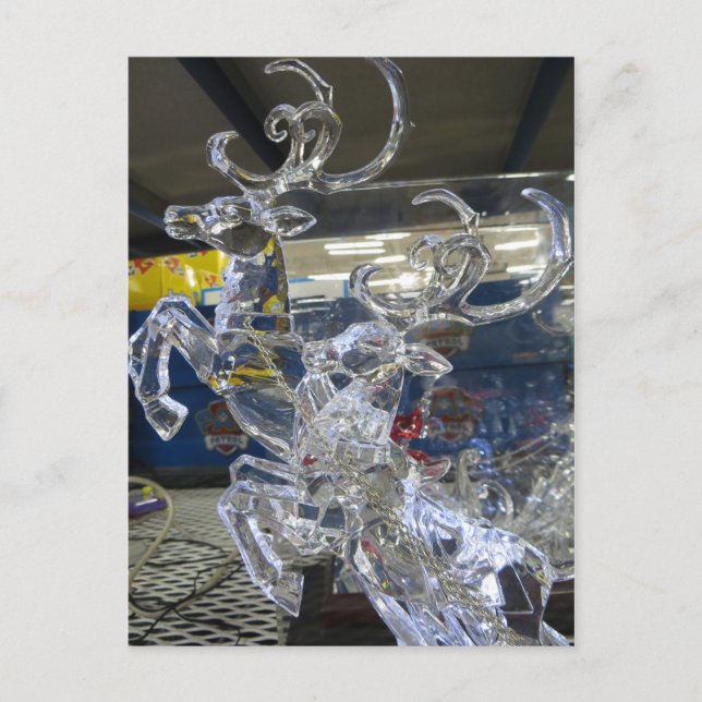Cartão Postal Crystal Deer (Frente)
