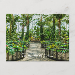 Cartão Postal Crystal Gardens Pulou Pensando Em Você