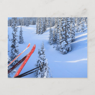 Cartão Postal Crystal Mountain Ski Resort, perto de Mt. Rainier