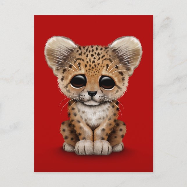Cartão Postal Cubo-leopardo-de-bebê bonito em vermelho (Frente)