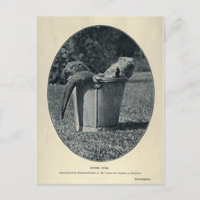 Cartão Postal Cubos externos (Frente)