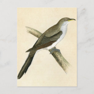 Cartão Postal Cuco Faturado Amarelo