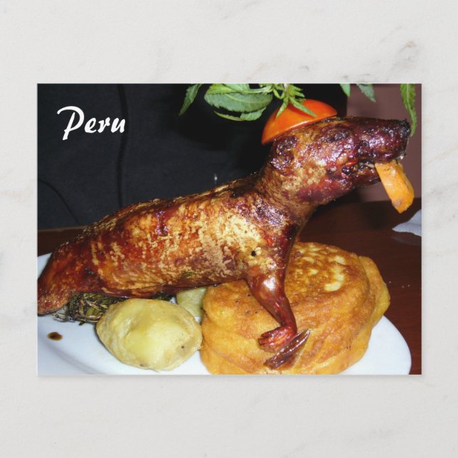 Cartão Postal cueca (Frente)