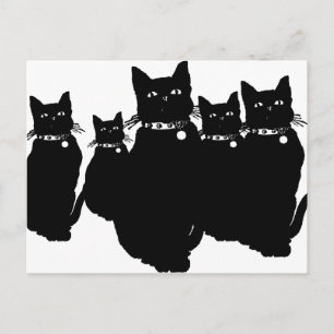 Cartão Postal Cuidado com o gato preto