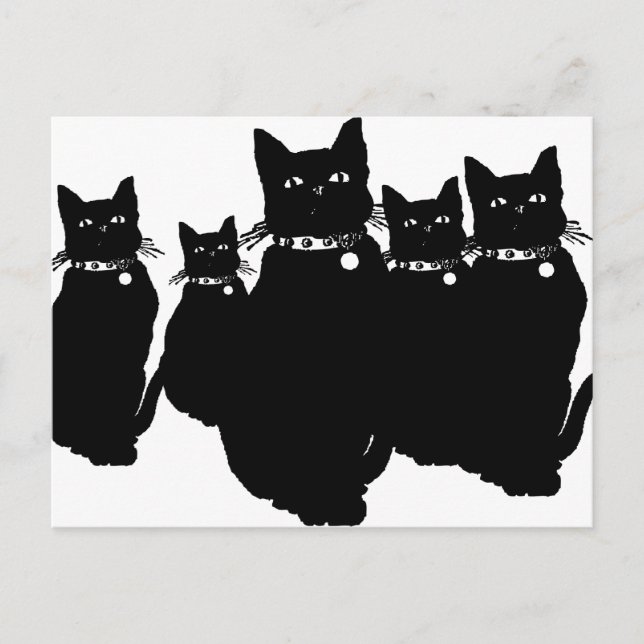 Cartão Postal Cuidado com o gato preto (Frente)