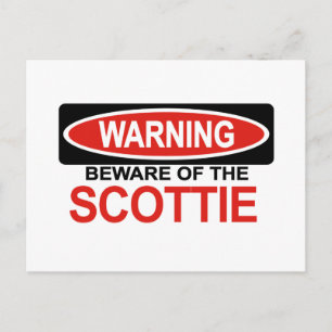 Cartão Postal Cuidado Com Scottie