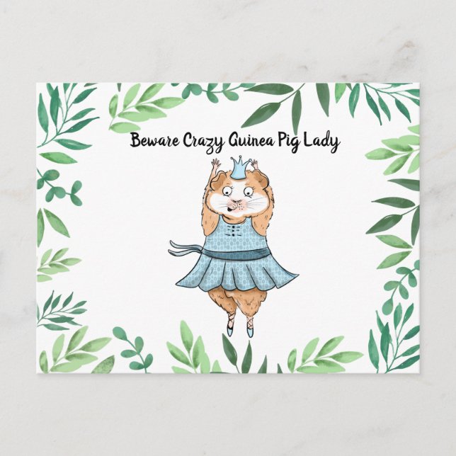 Cartão Postal Cuidado Senhora Maluca de Porquinho-da-índia  porq (Frente)