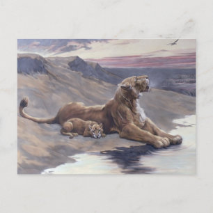 Cartão Postal Cuidados Maternos