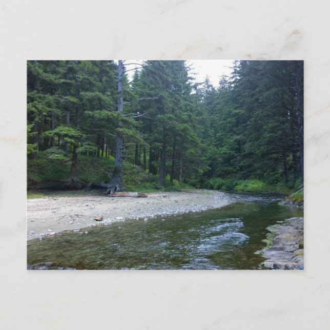 Cartão Postal Cummins Creek no Parque Estadual de Netuno, OR (Frente)