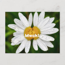 Cartão Postal Cumprimentos de Aniversário do Dia dos Namorados B