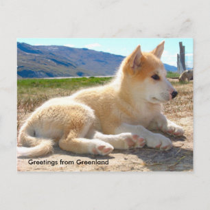 Cartão Postal Cumprimentos de Greenland 12