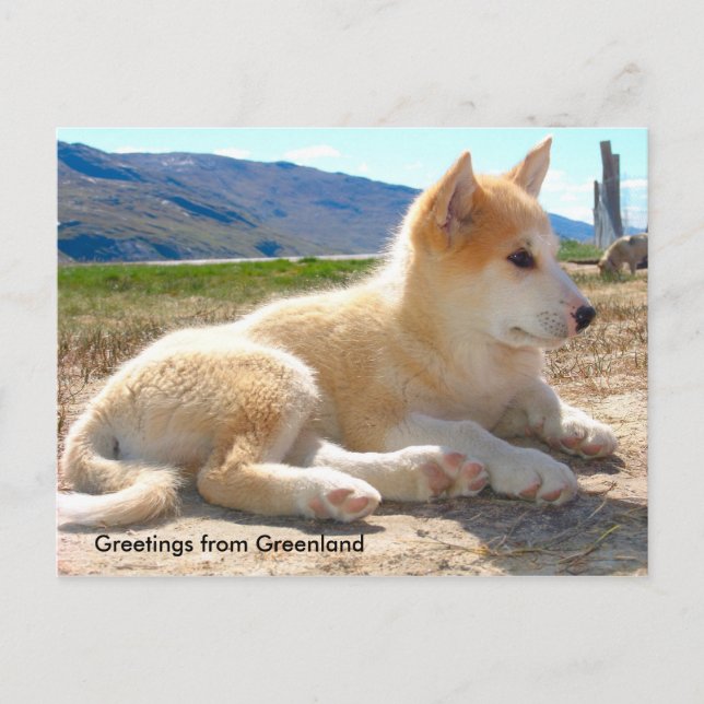 Cartão Postal Cumprimentos de Greenland 12 (Frente)