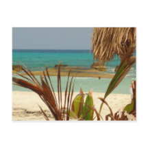 Cumprimentos do paraíso!