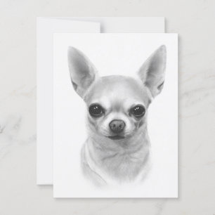 Cartão Postal "Cunami" Pintou Chihuahua Retrato