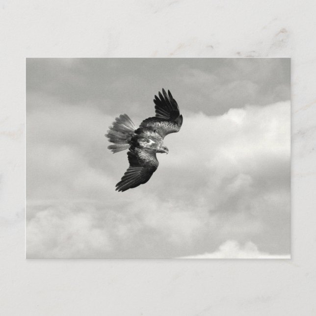 Cartão Postal cunha (Frente)