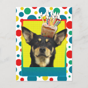 Cartão Postal Cupcake de aniversário - australiano Kelpie - Jude