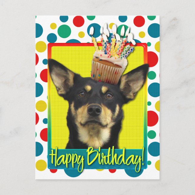 Cartão Postal Cupcake de aniversário - australiano Kelpie - Jude (Frente)