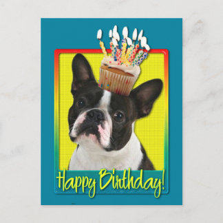 Cartão Postal Cupcake de aniversário - Boston Terrier