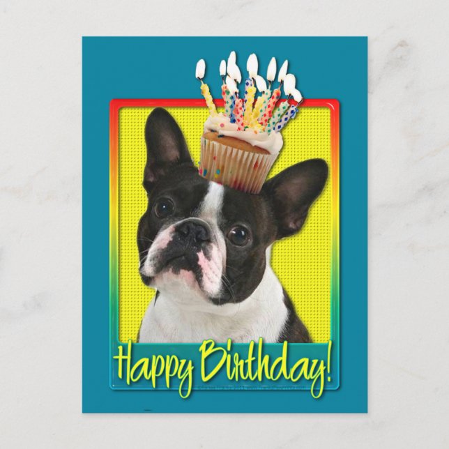 Cartão Postal Cupcake de aniversário - Boston Terrier (Frente)