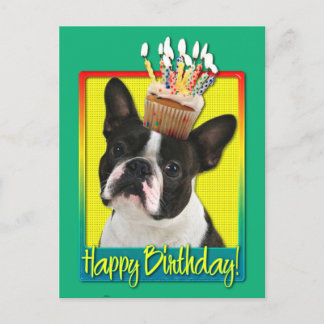 Cartão Postal Cupcake de aniversário - Boston Terrier