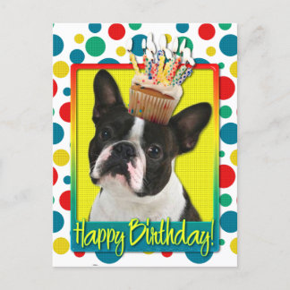 Cartão Postal Cupcake de aniversário - Boston Terrier