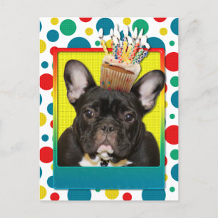 Cartão Postal Cupcake de aniversário - Cão-Grande Francês - Teal