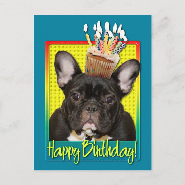 Cartão Postal Cupcake de aniversário - Cão-Grande Francês - Teal (Frente)