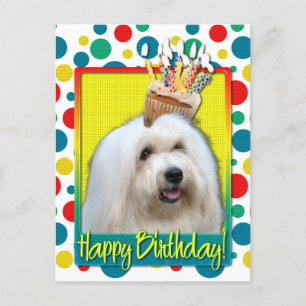 Cartão Postal Cupcake de aniversário - Coton de Tulear