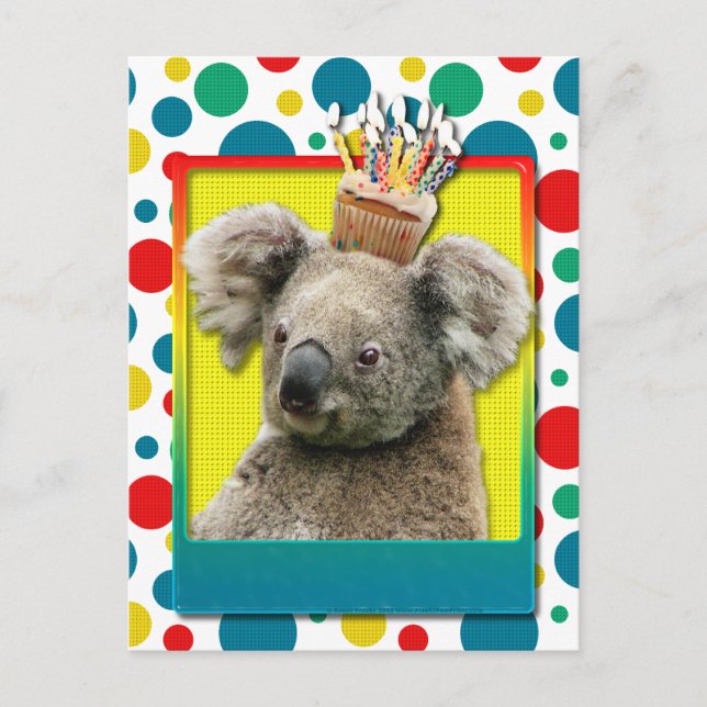 Cartão Postal Cupcake de aniversário - Koala (Frente)