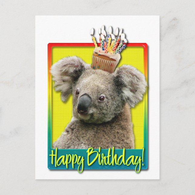 Cartão Postal Cupcake de aniversário - Koala (Frente)